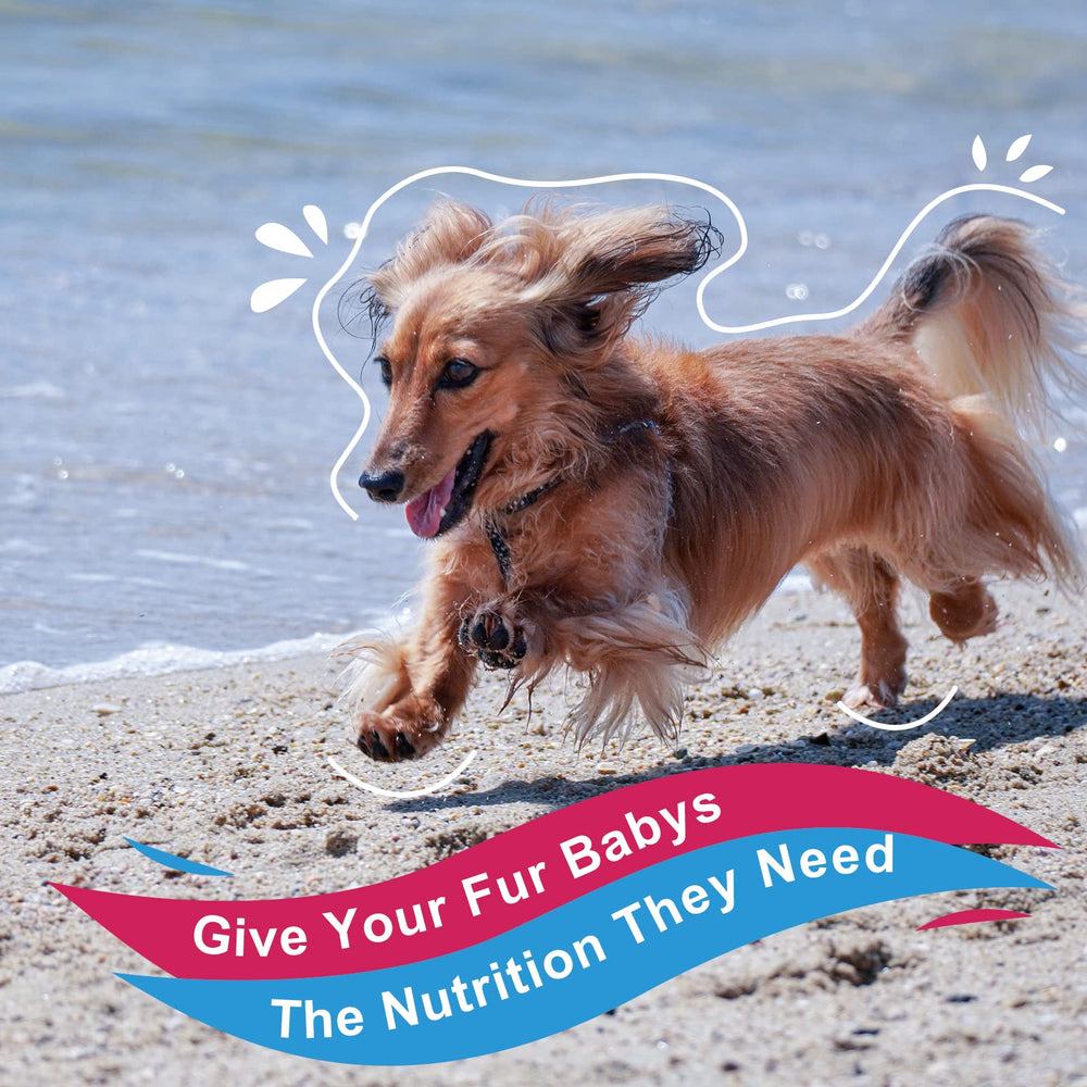 Nature Target chicken-flavored dog supplement powder ready to mix with meals.