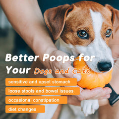 Nature Target digestive enzymes for dogs aiding digestion