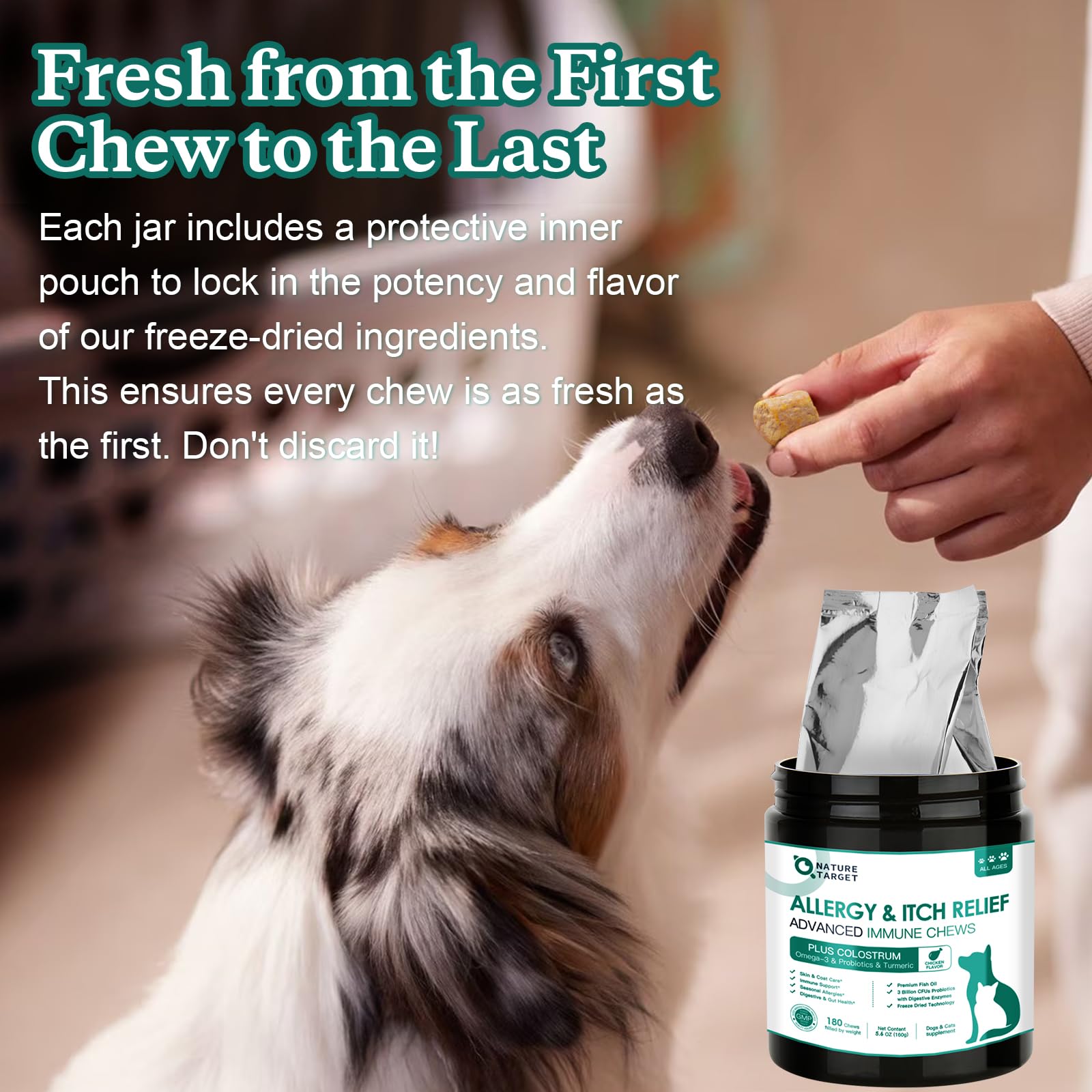 Nature Target dog allergy chews - may reduce paw licking during flare-ups.