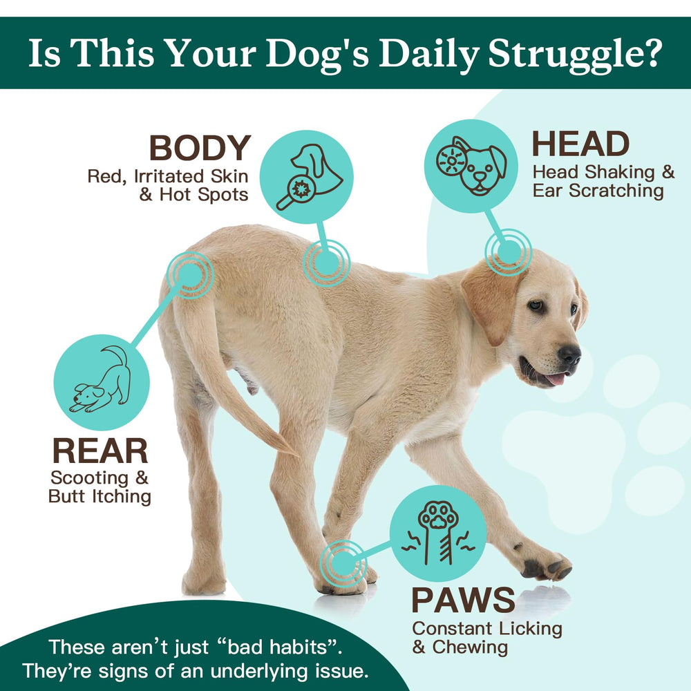 Nature Target dog allergy chews treat time - palatable relief dogs look forward to.
