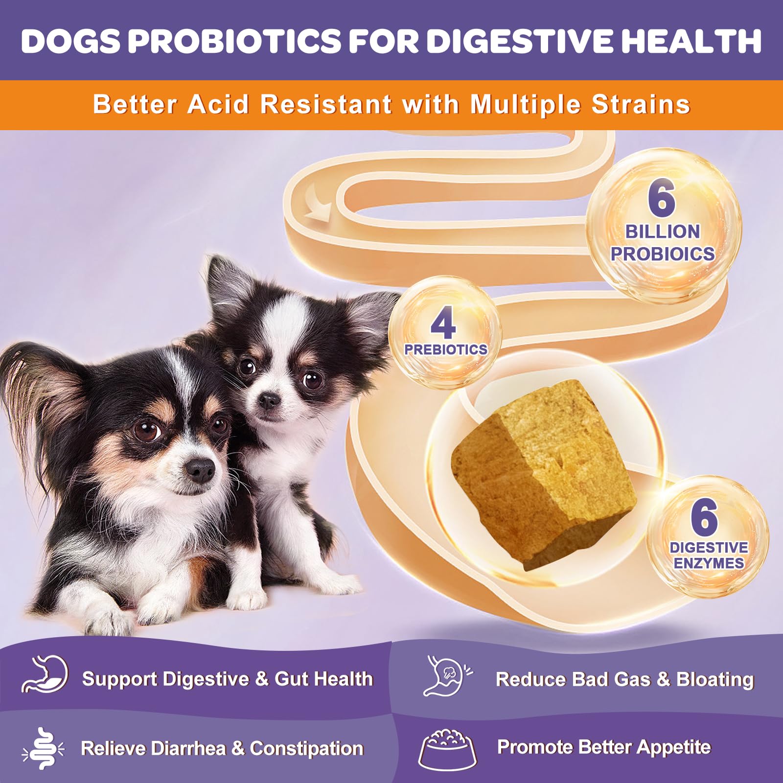 Nature Target Freeze-Dried Dog Probiotics bag highlights shelf-stable freshness.