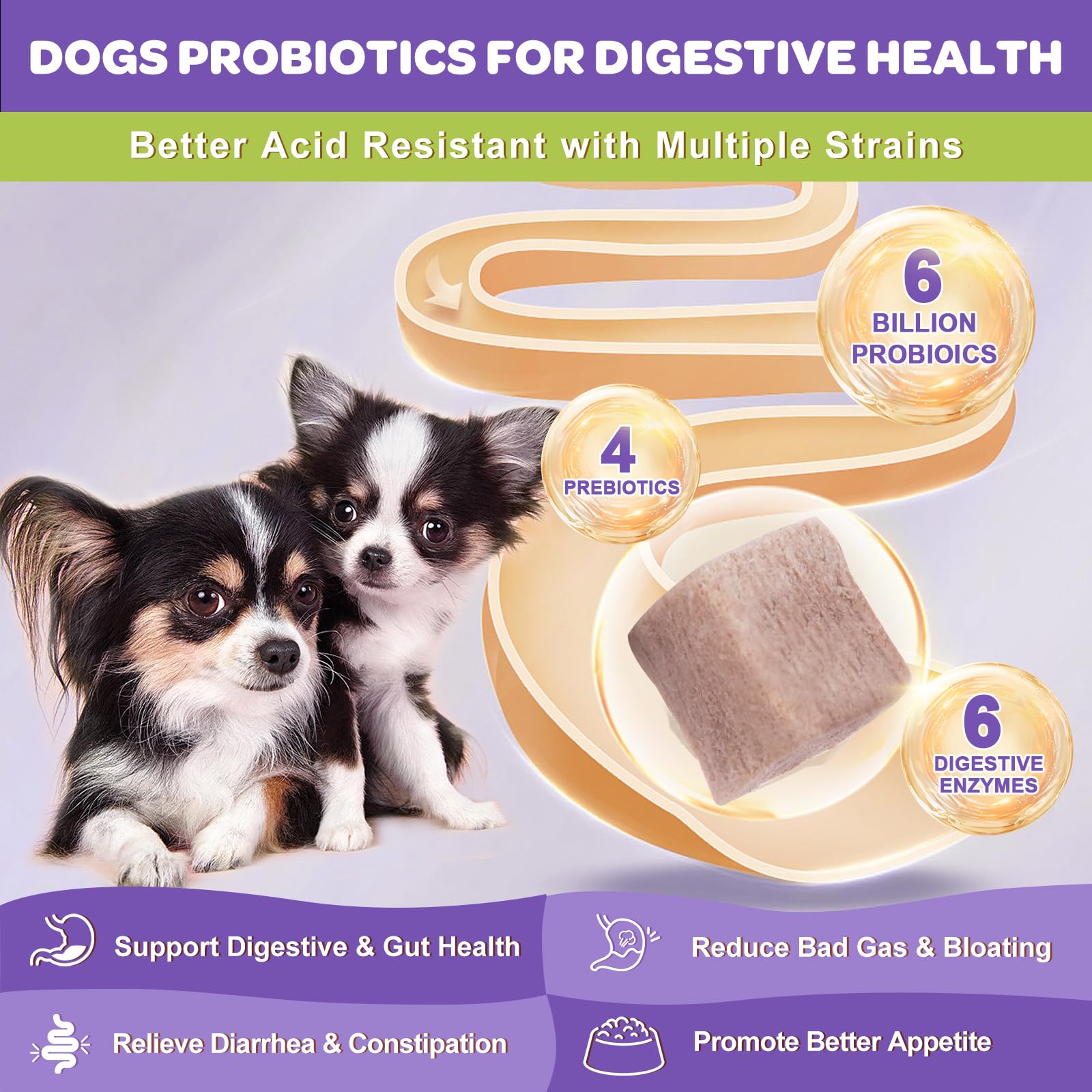 NATURE TARGET Probiotics 12-strain formula supports balanced digestion.