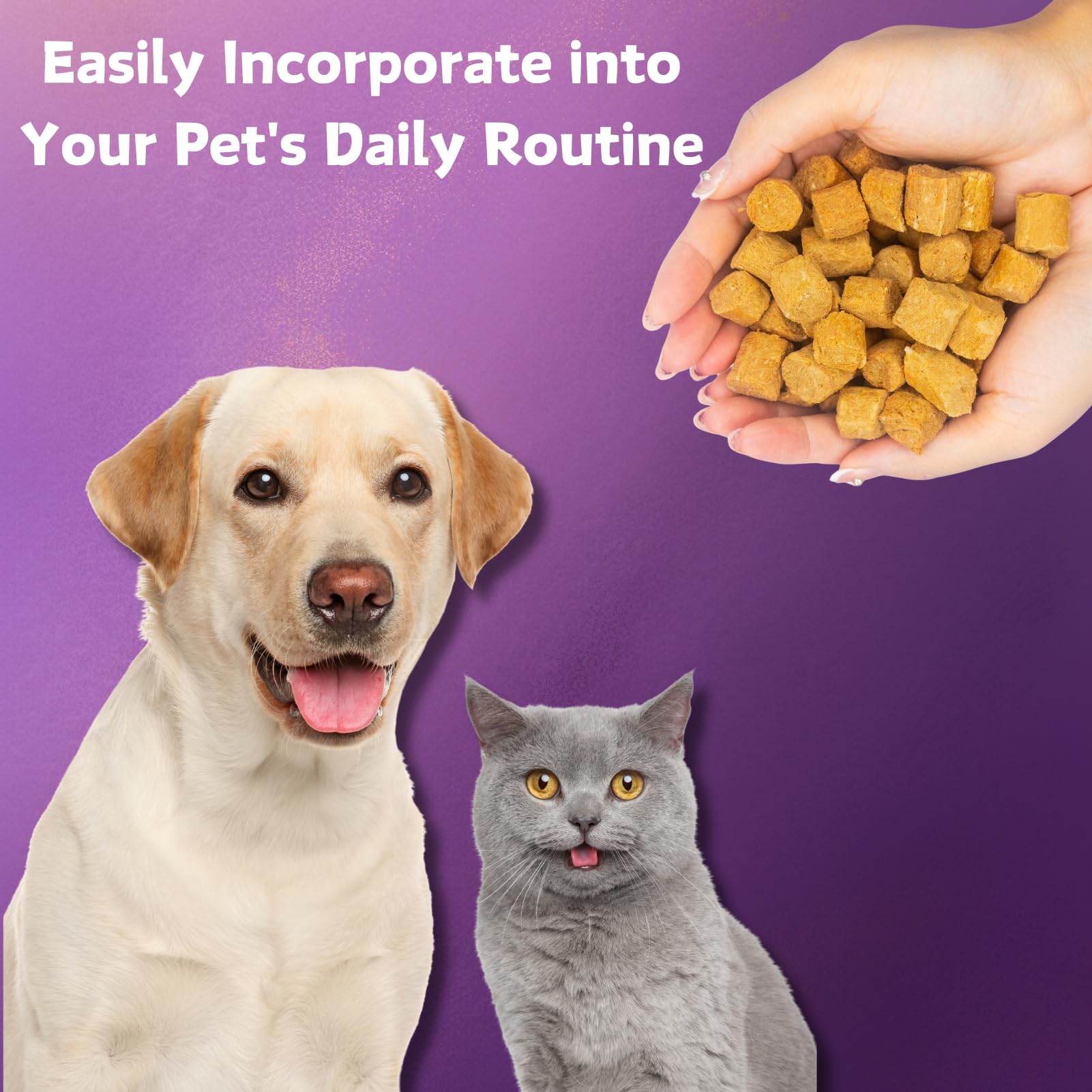 Nature Target Probiotics for Dogs daily-use chews on kitchen counter.