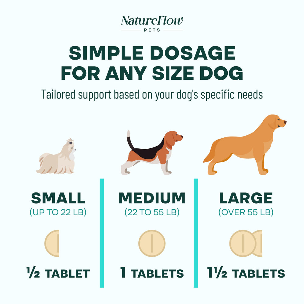 Natureflow start-slow guide assists gentle introduction for sensitive dogs