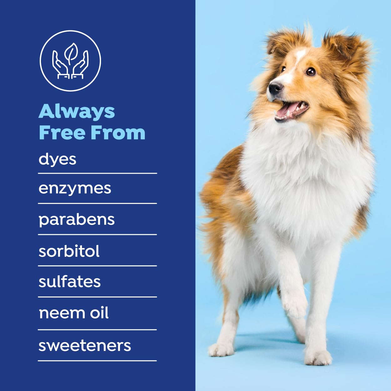 Naturel Promise 14-days breath improvement concept with a happy dog