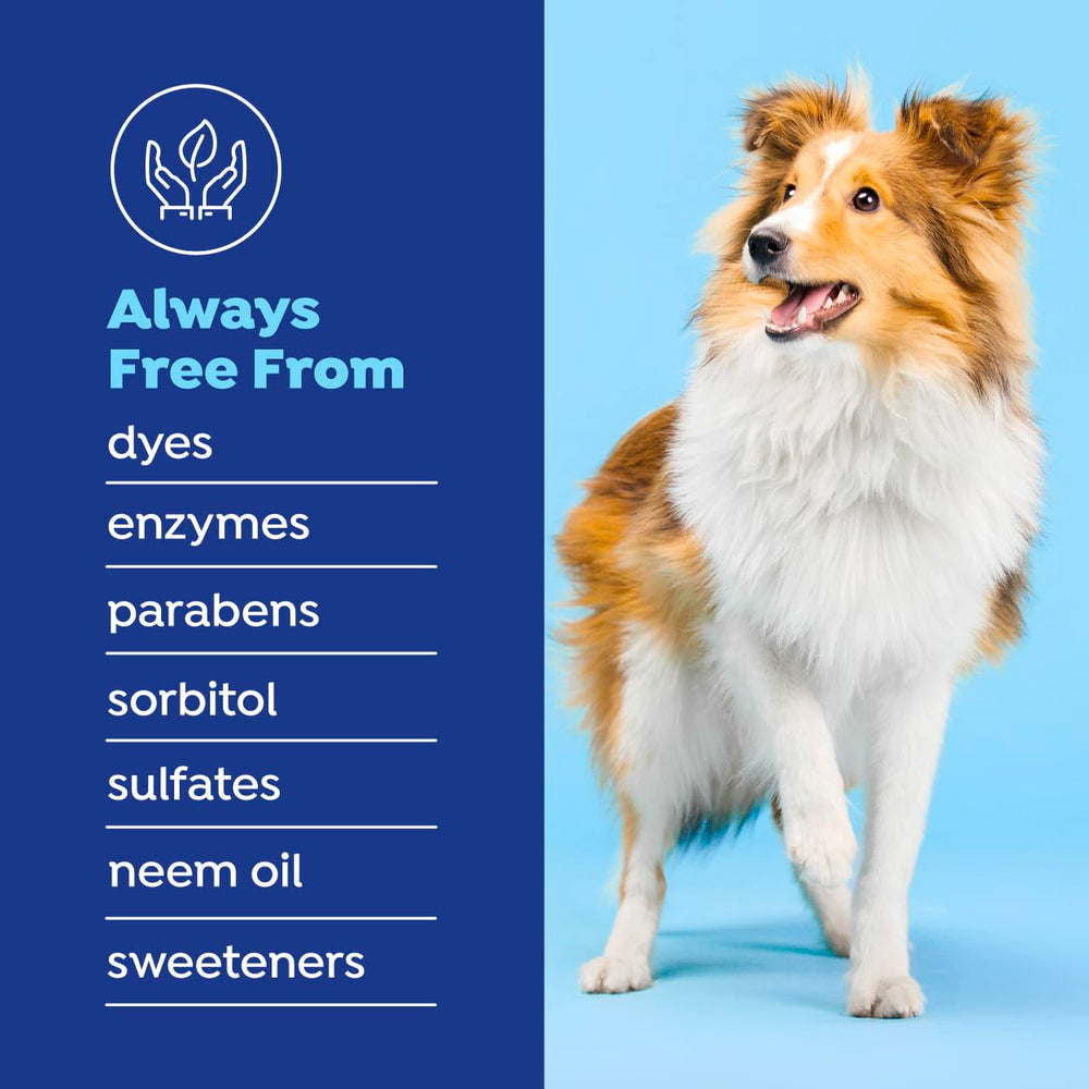 Naturel Promise 14-days breath improvement concept with a happy dog