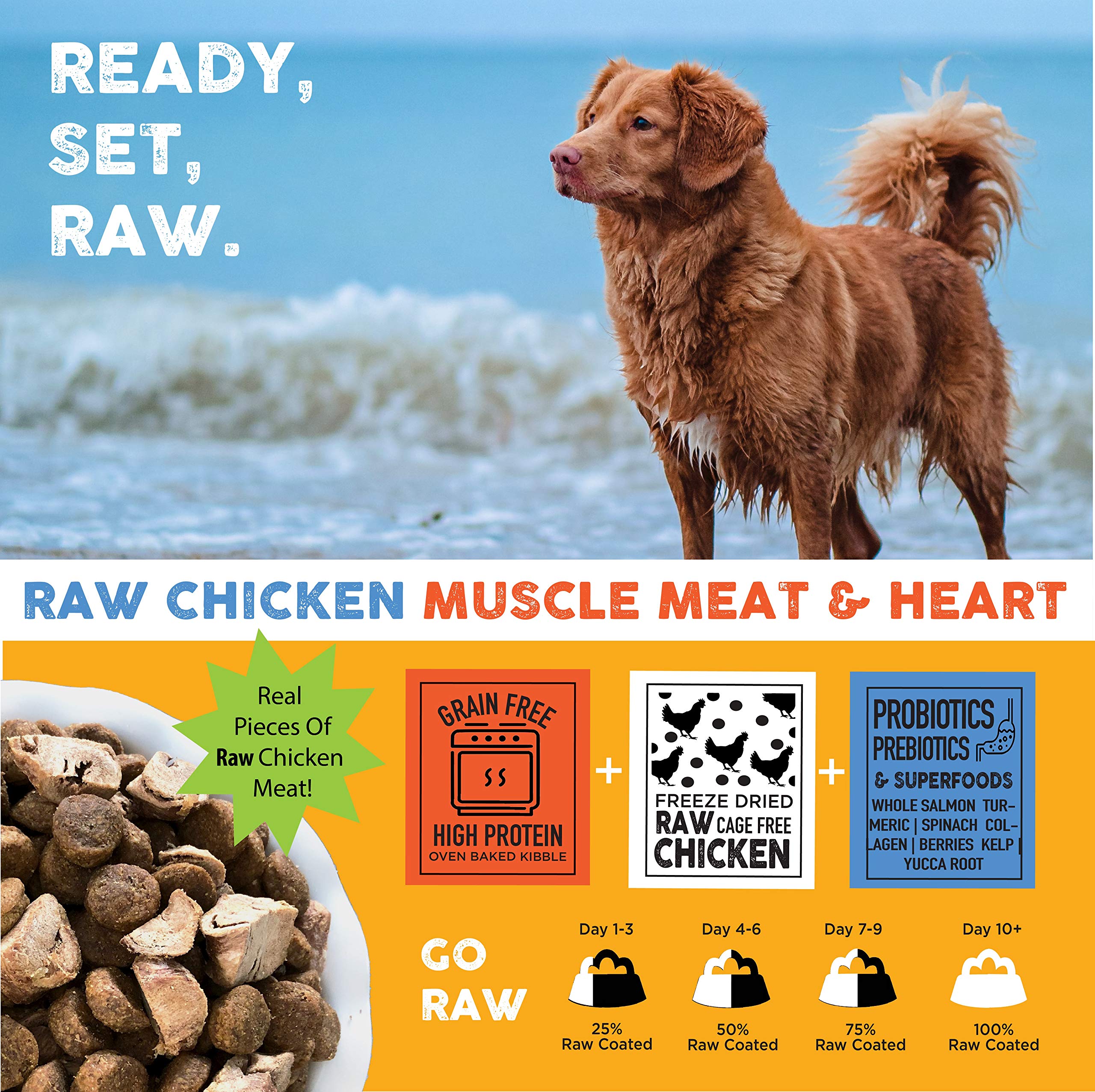 Nature's Diet Raw Mix Kibble superfoods image signals nutrient-dense ingredients
