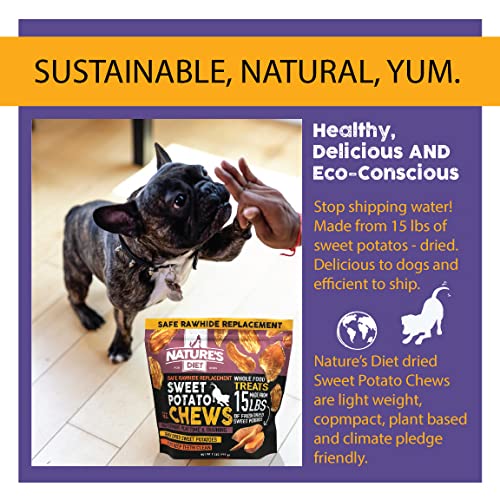 Nature's Diet Sweet Potato Chews XL dog chewing outdoors during playtime, great reward