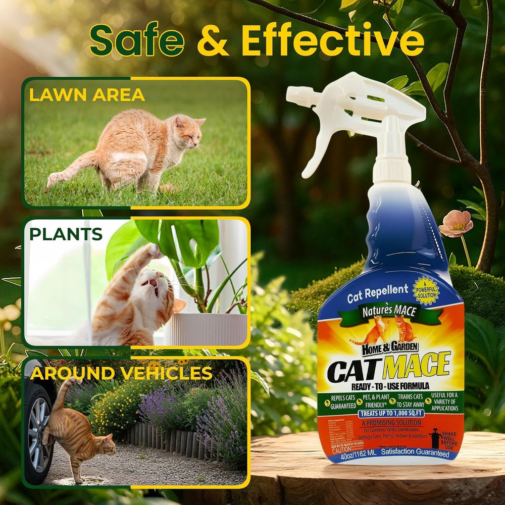 Nature's MACE peppermint and castor oil blend supports cat training routines