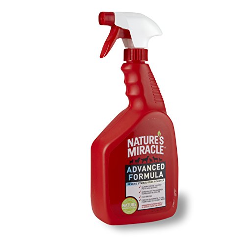 Nature's Miracle fast-drying pet stain remover shown on carpeted area for quick cleaning