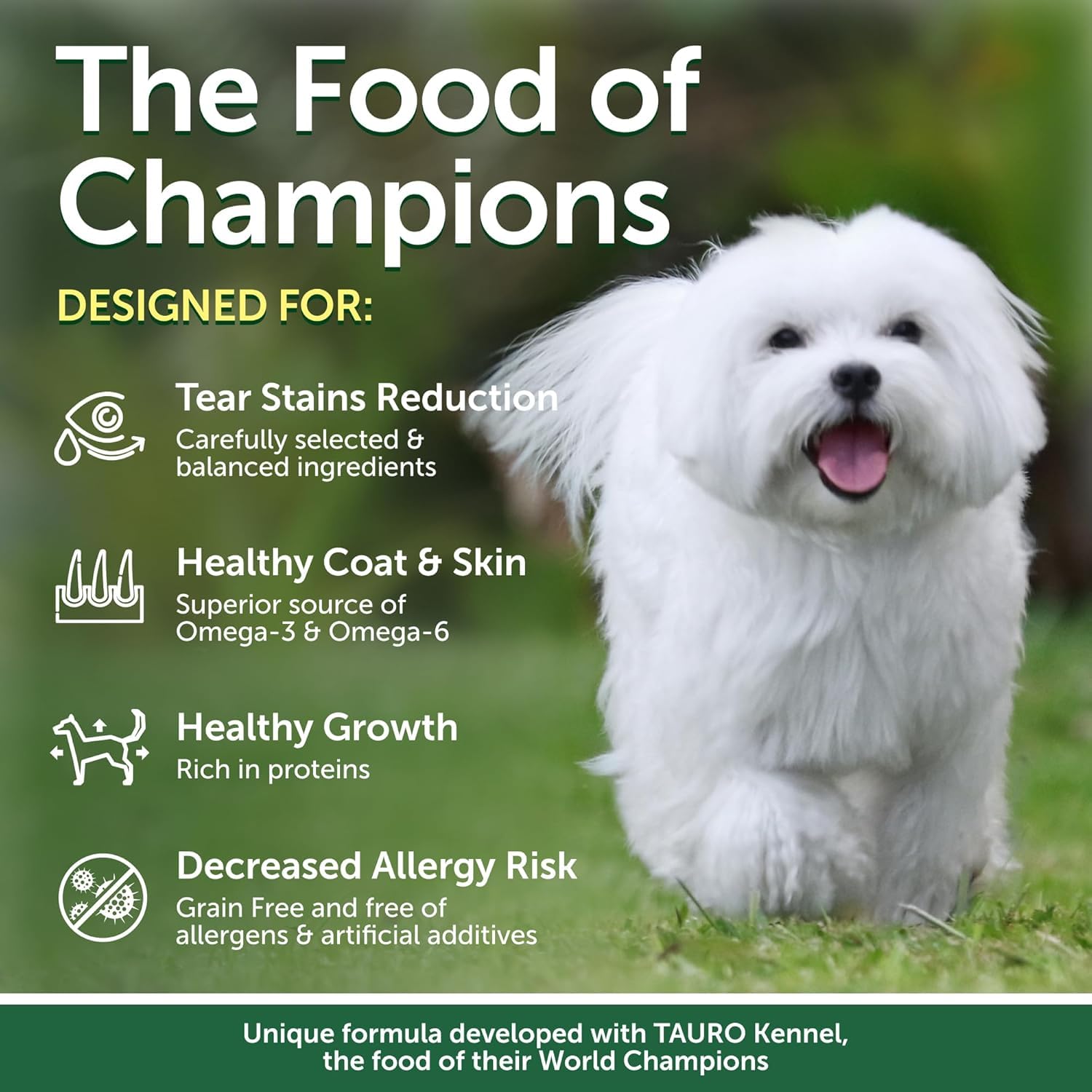 Nature's Protection Puppy Food small breed kibble closeup highlights grain-free texture for sensitive stomachs