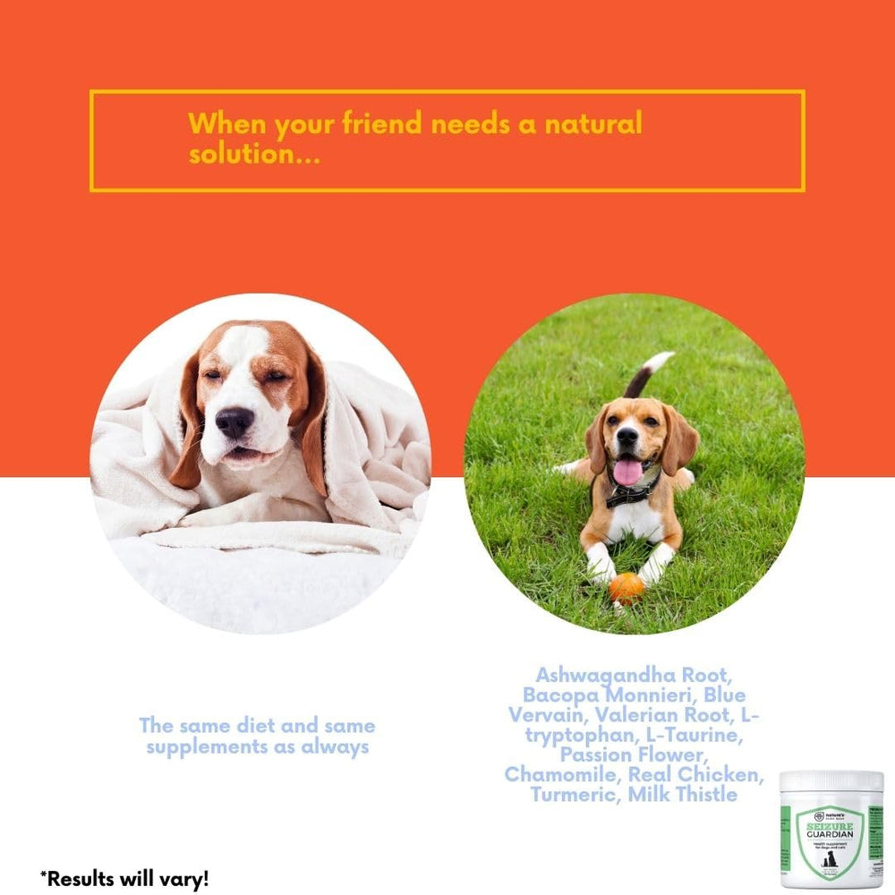 Nature's Pure Edge turmeric-powder supports inflammatory balance post-activity.
