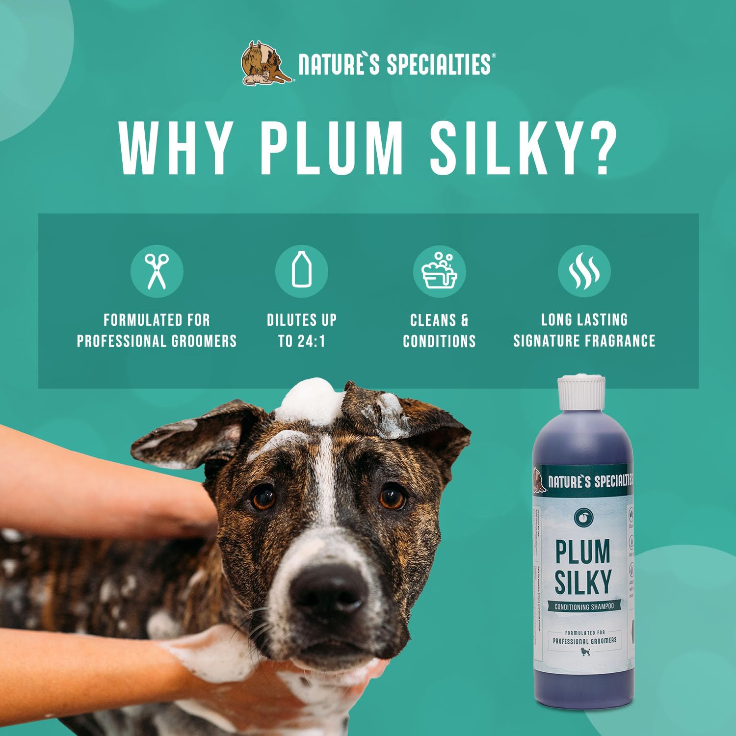 Nature's Specialties Plum Silky foam-lather demonstrates gentle cleansing and conditioning.