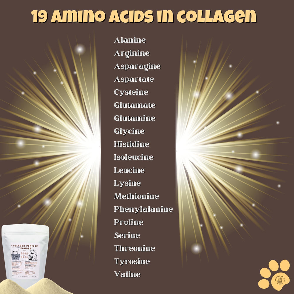 Nature's Vitality Farms collagen powder in a pet bowl scene, preparing meals for digestive support.