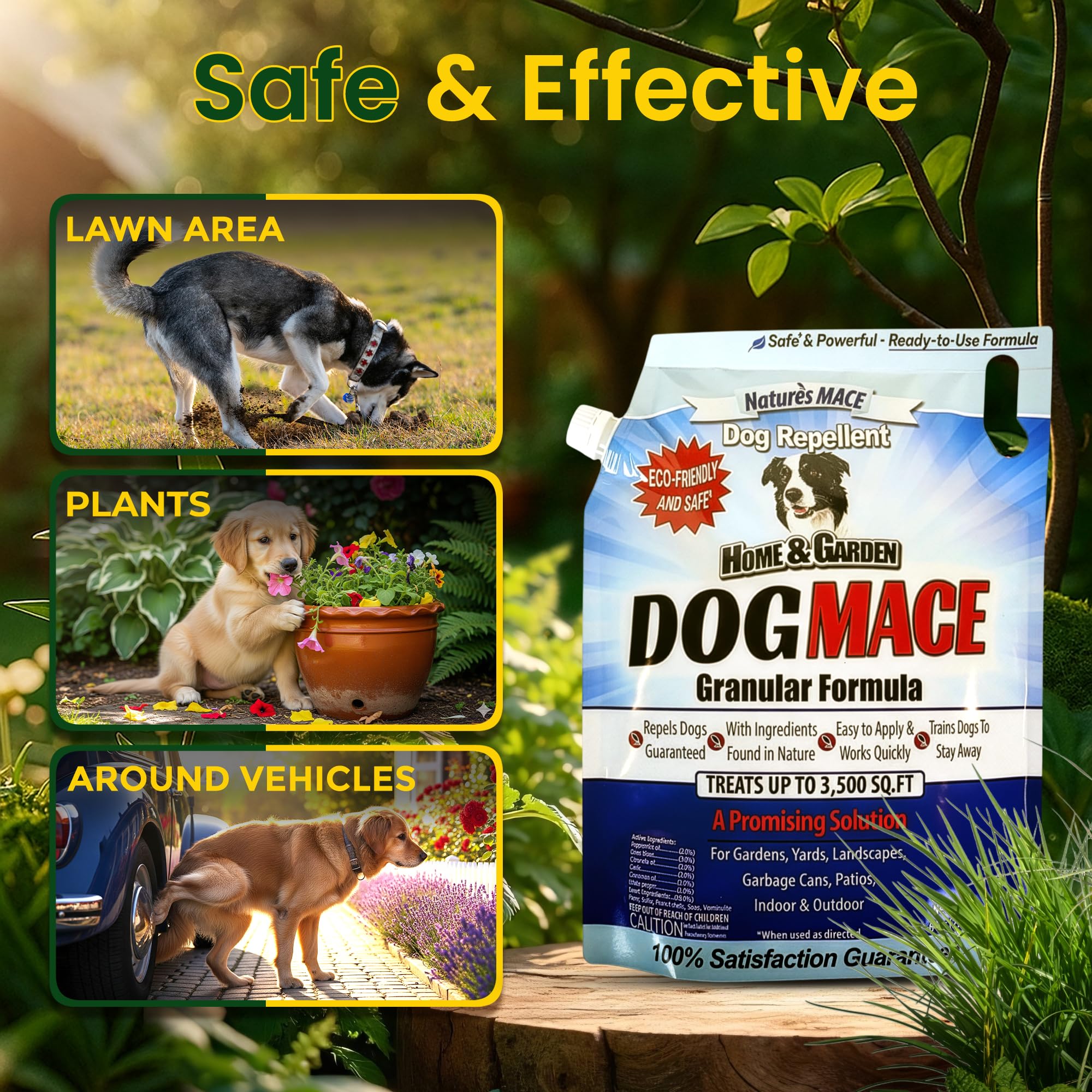 Nature's MACE Dog Mace treated lawn border showing protected area