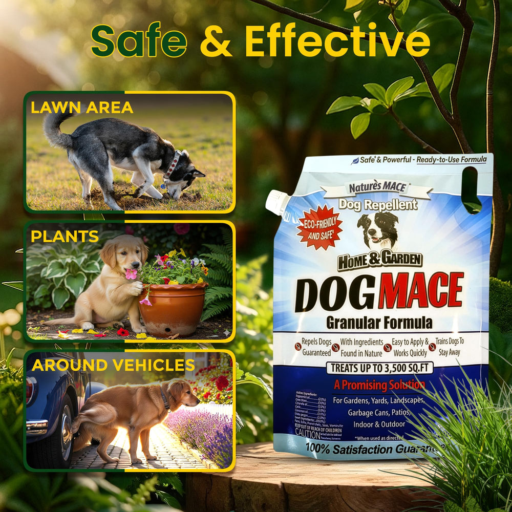 Nature's MACE Dog Mace treated lawn border showing protected area