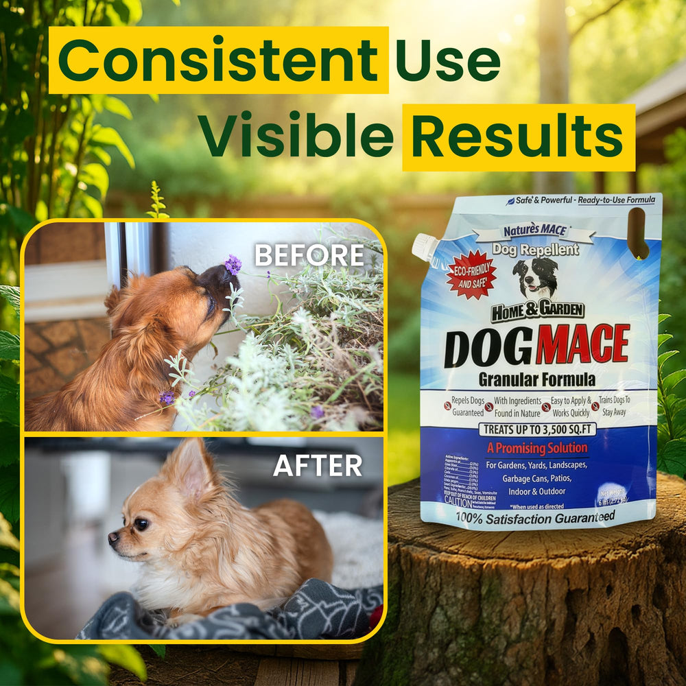 Nature's MACE Dog Mace packaging indicates USA-made formulation