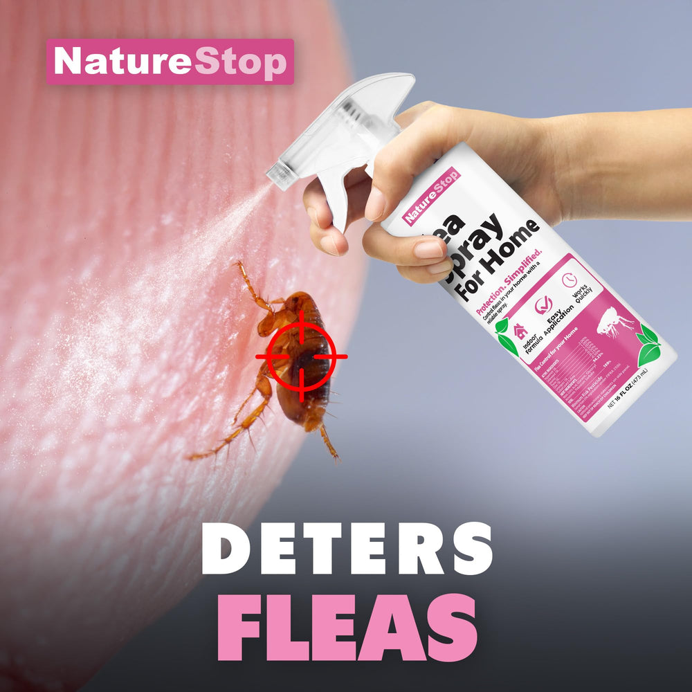 NatureStop Flea Spray on carpets for fast flea control in high-traffic areas