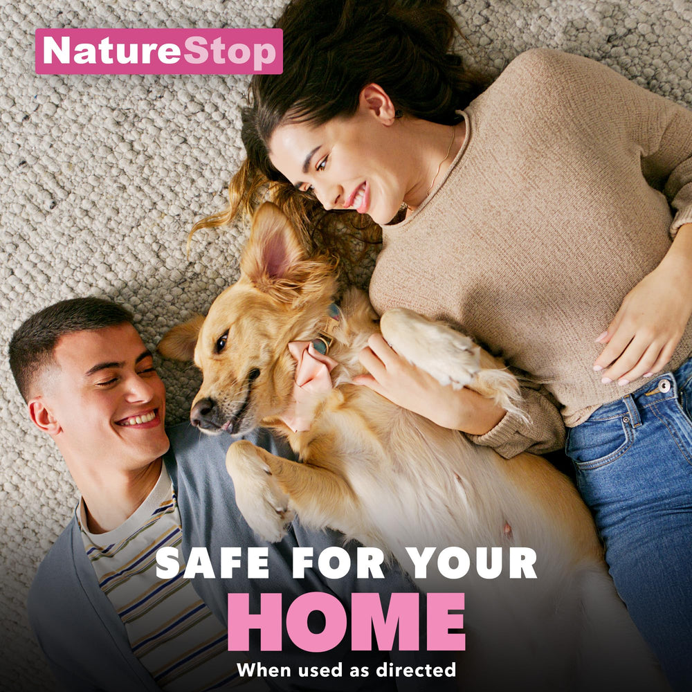 NatureStop Flea Spray on pet bedding helps reduce flea presence in sleep areas