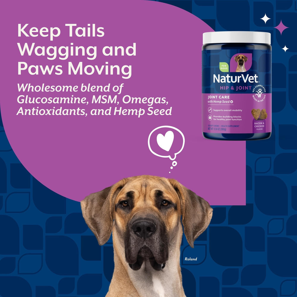 NaturVet 120 Soft Chews close-up emphasizes convenient chews supporting joints and activity.