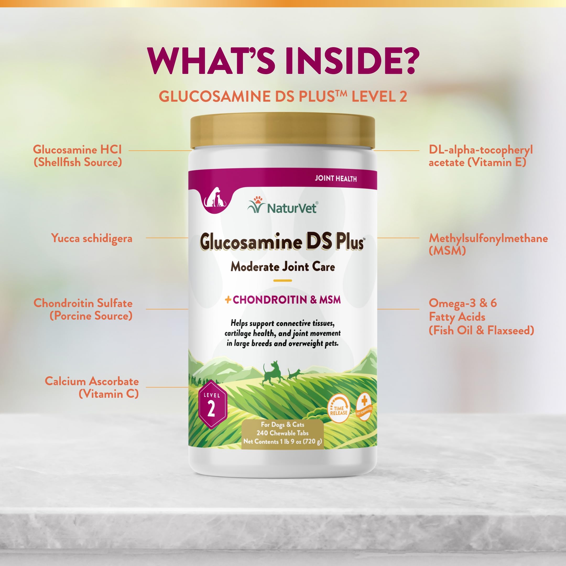 Active pet enjoying play with NaturVet joint support.