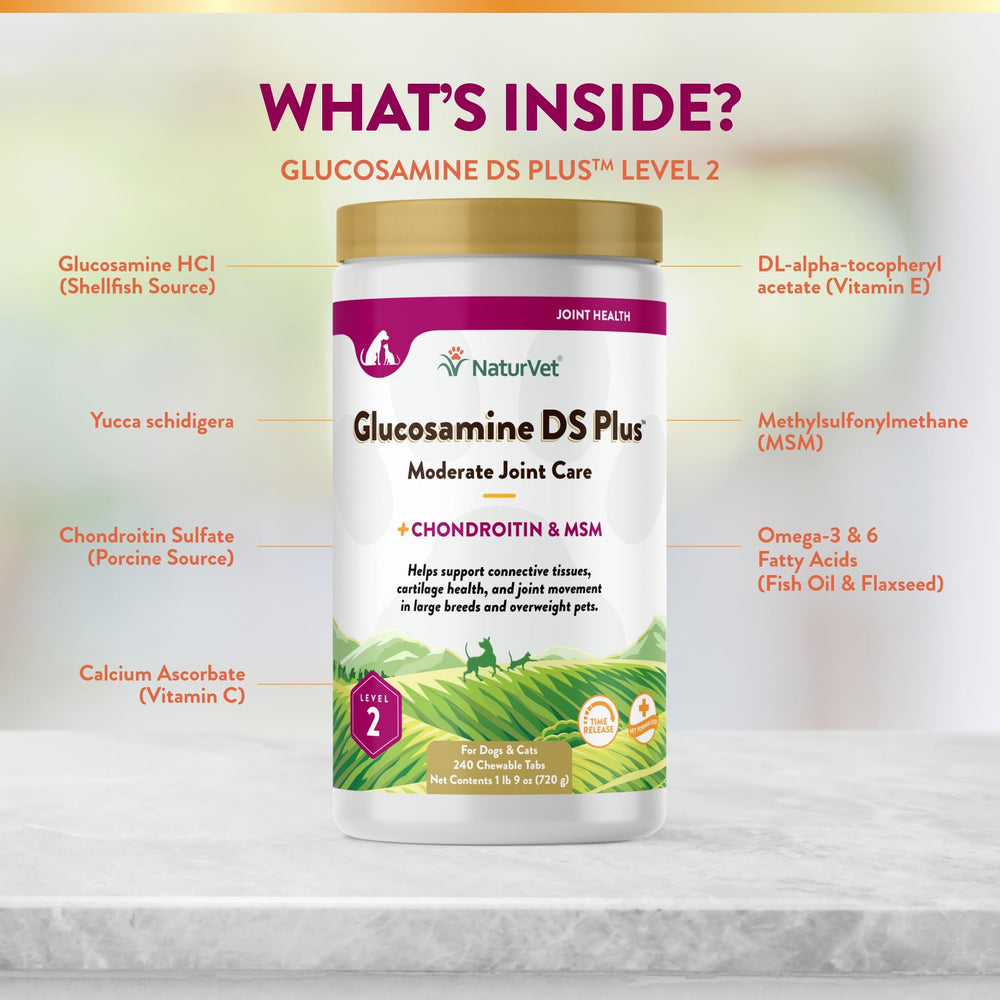 Active pet enjoying play with NaturVet joint support.