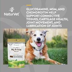 NaturVet Advanced Omegas label highlights nutrients for cartilage and connective tissue support
