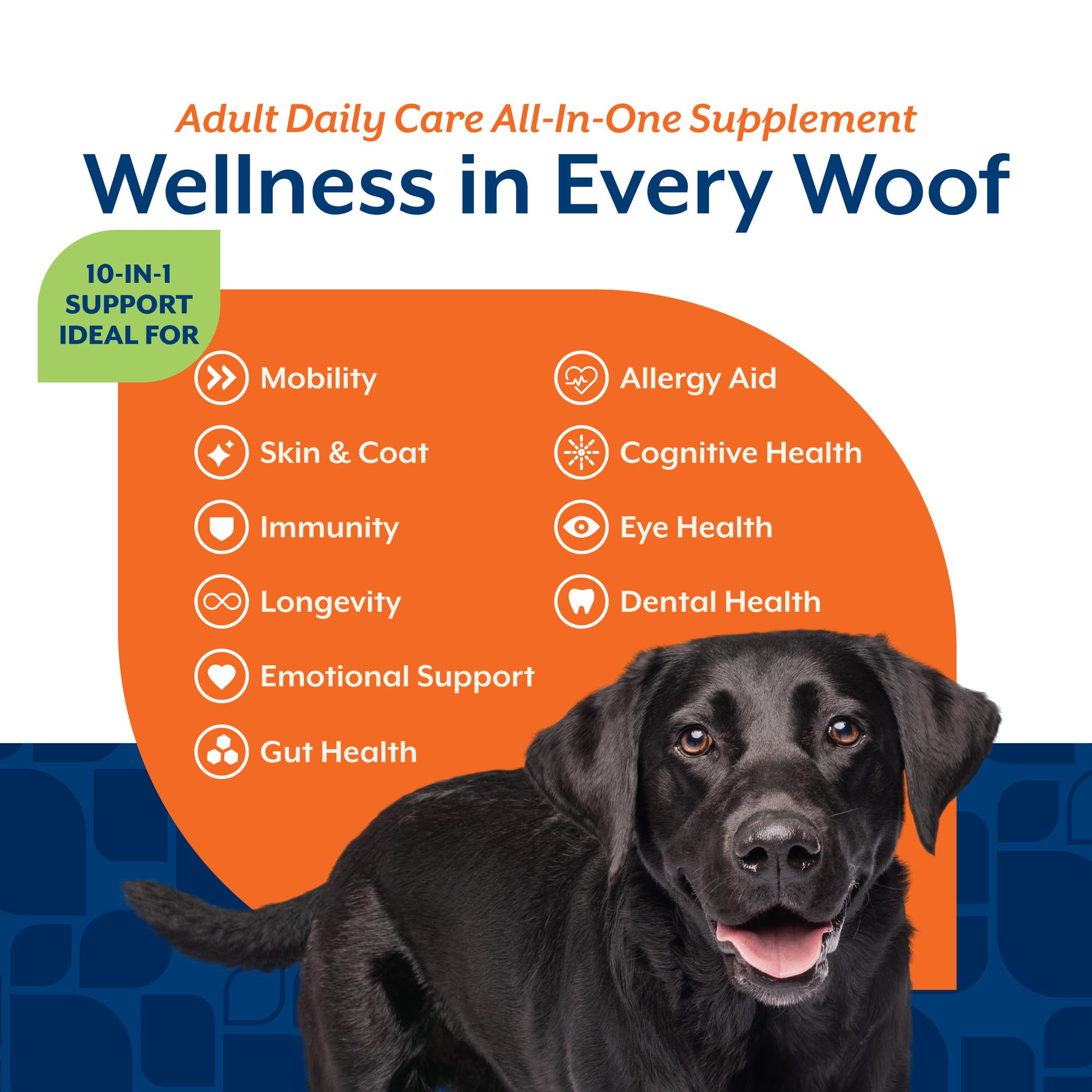 NaturVet All-In-One dog daily care dental plaqueoff logo indicating dental support.