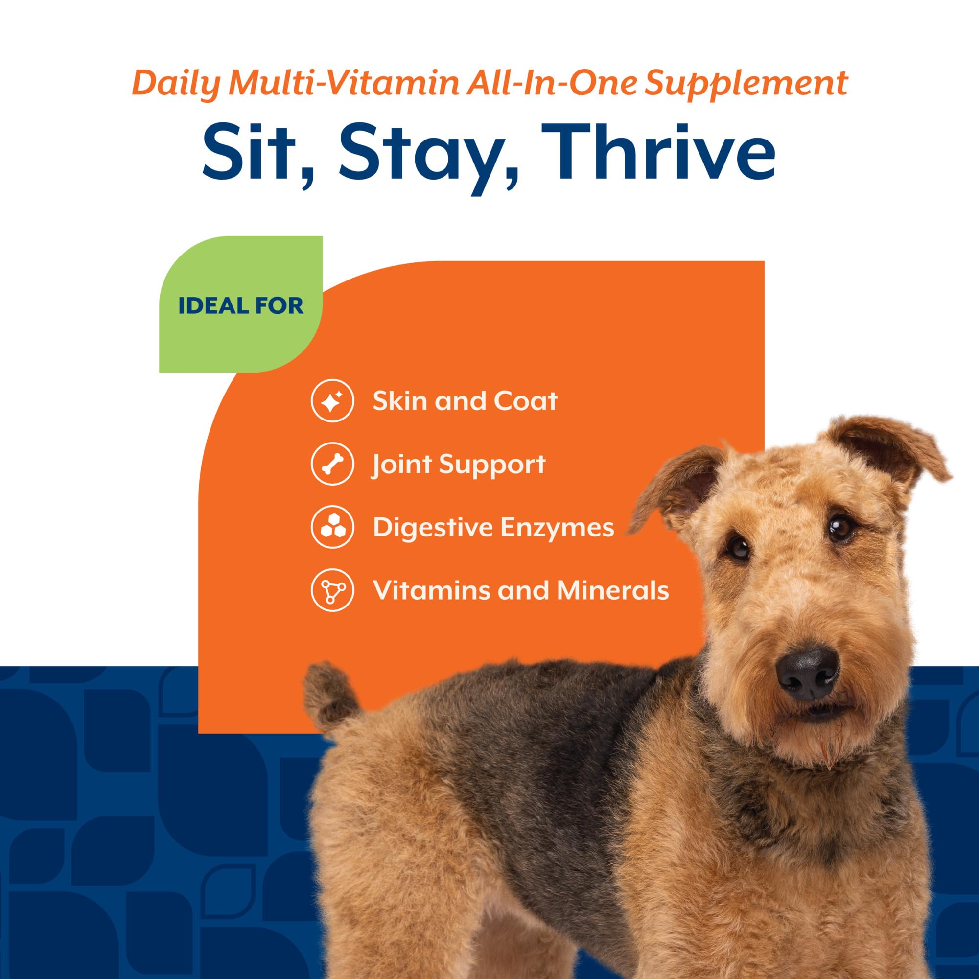 NaturVet All-in-One omega-3-6-9 chews enhance coat and skin health