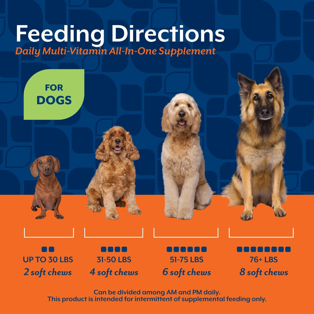 NaturVet All-in-One apto para perros de todas las edades, suplemento versátil