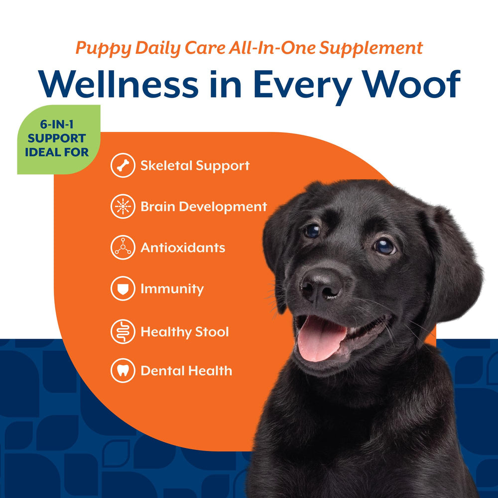 NaturVet All-In-One Puppy Daily Care dental-focused chews help reduce plaque and tartar.