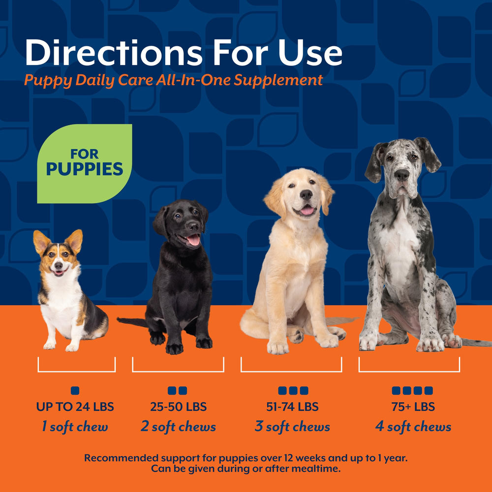 NaturVet All-In-One Puppy Daily Care digestion-friendly chews promote healthy gut function.