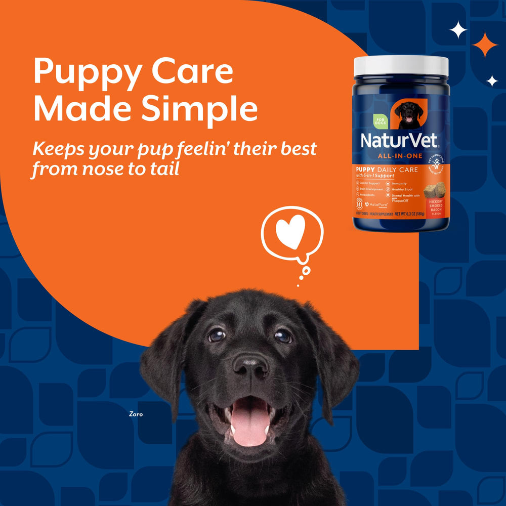 NaturVet All-In-One Puppy Daily Care puppy with chew in mouth during daily care routine.