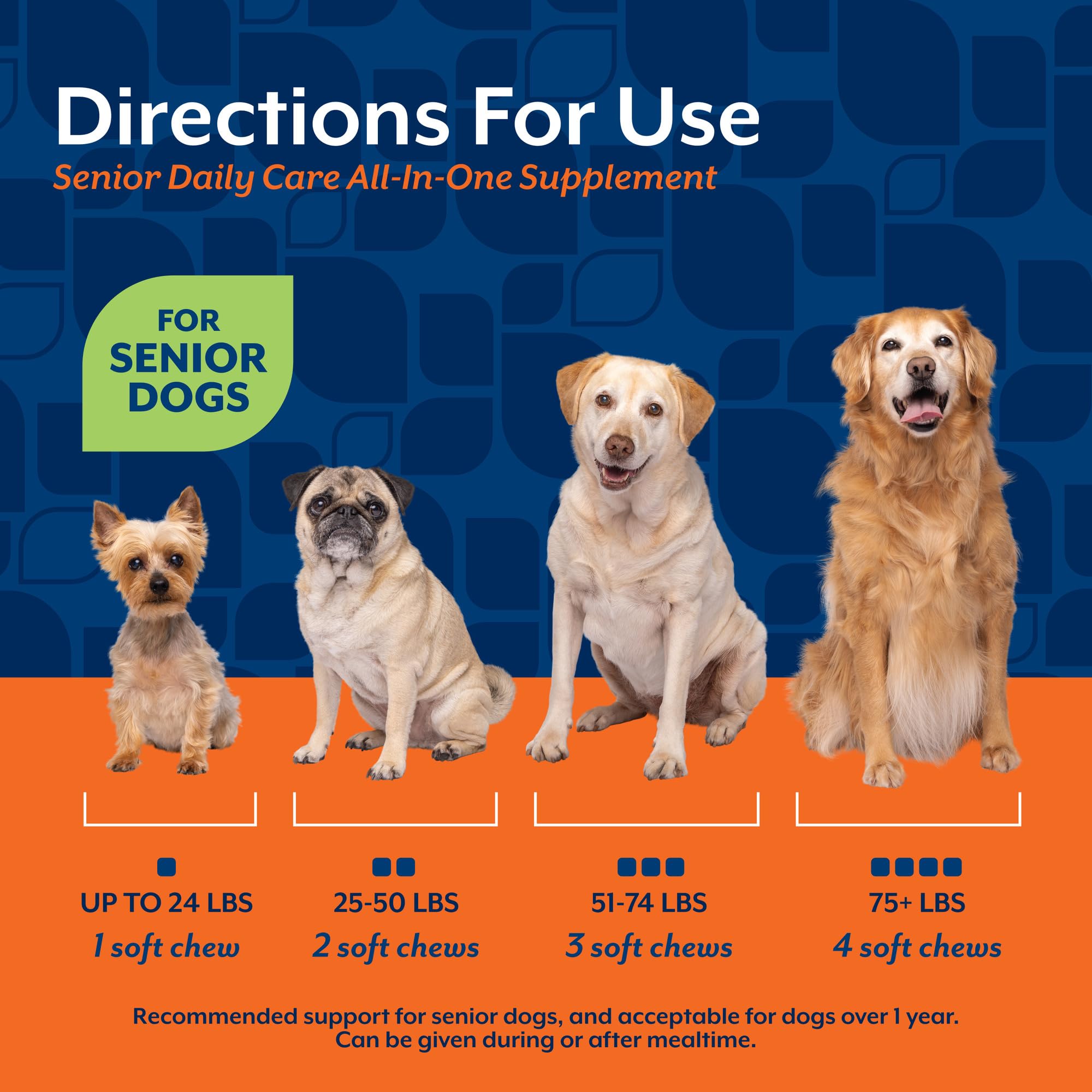 NaturVet All-in-One Senior Dog chews during playtime suggesting mobility and cognition support.