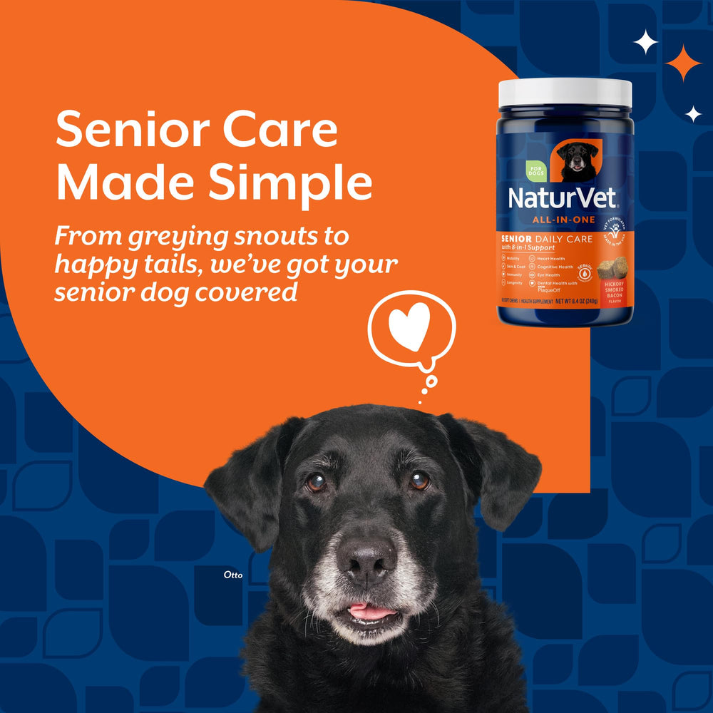 NaturVet All-in-One Senior Dog chews in bowl illustrate convenient dental and hygiene benefits.