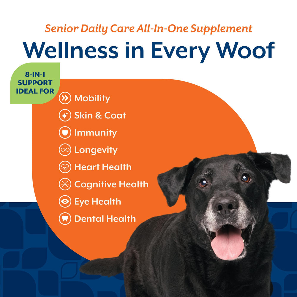 NaturVet All-in-One Senior Dog chews near toothbrush signaling dental care benefits.