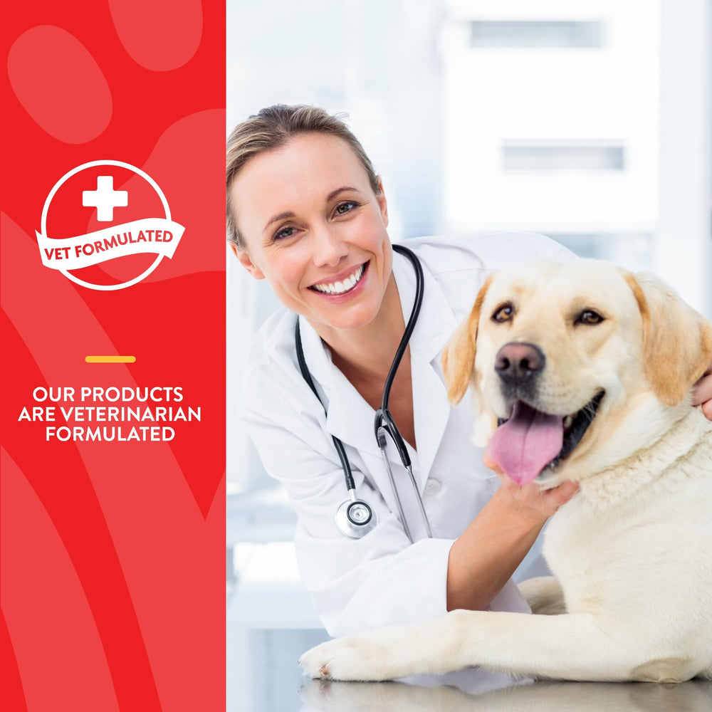NaturVet Aller-911 skin-moisture support chew image suggesting healthier coat
