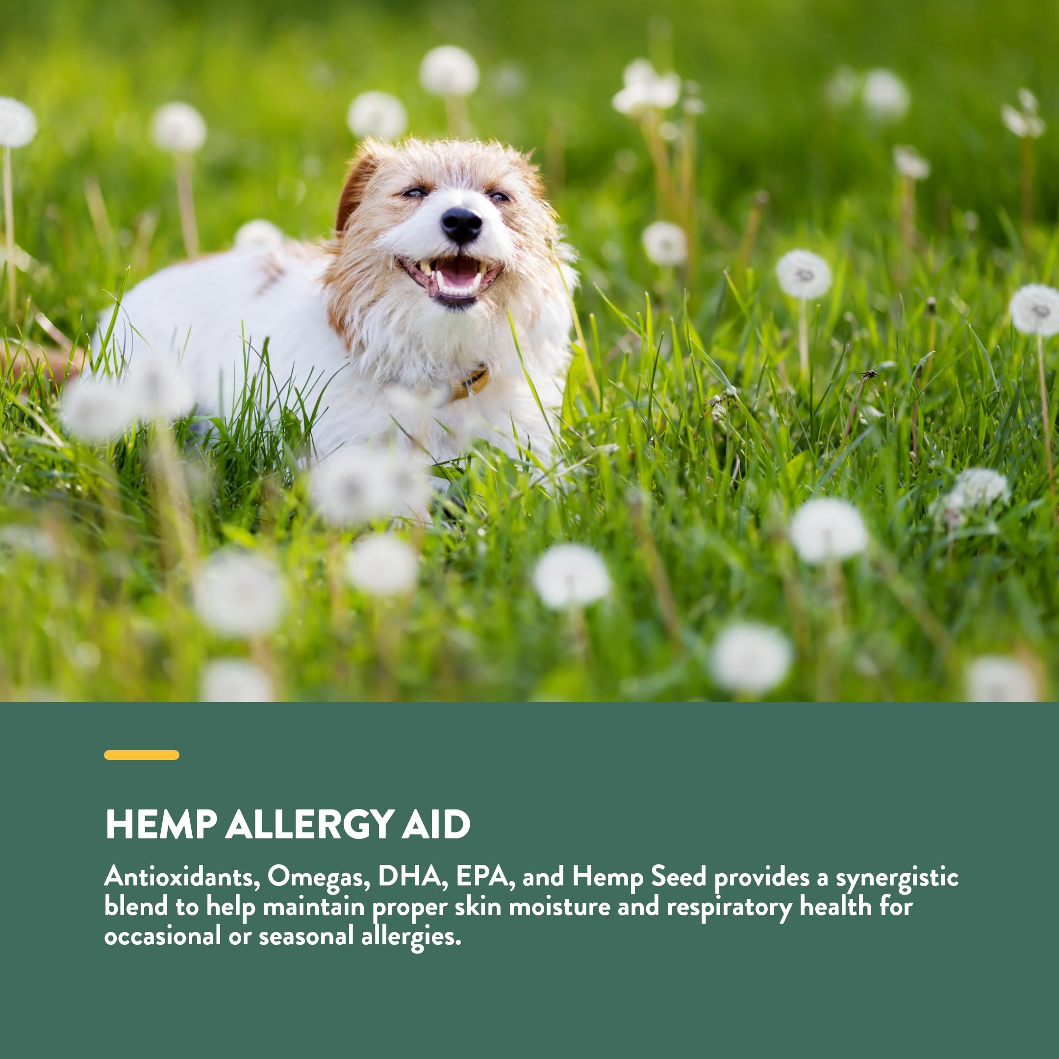NaturVet antioxidants and omegas image highlighting the nutrient blend for overall wellness.