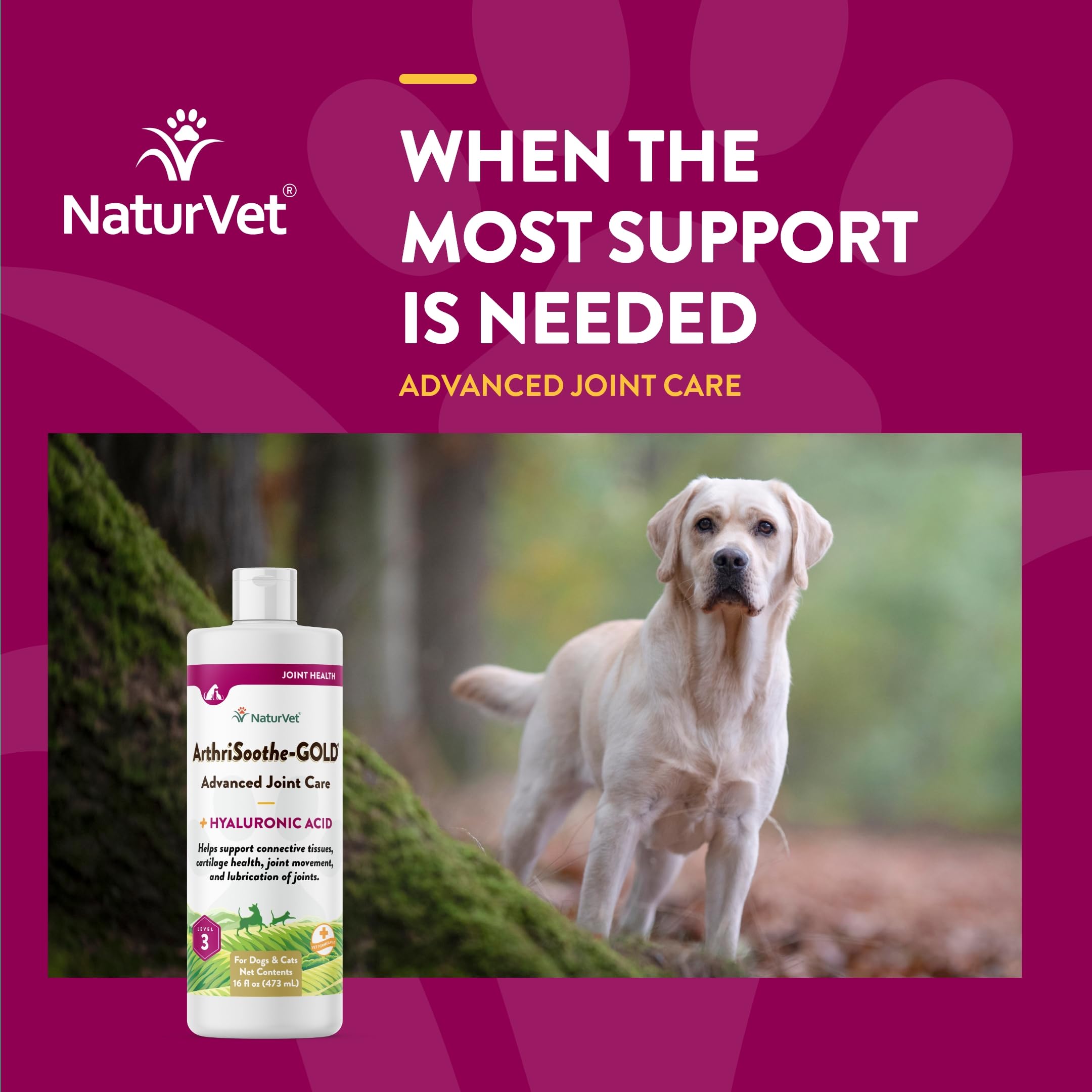 NaturVet ArthriSoothe-Gold chondroitin for joint lubrication