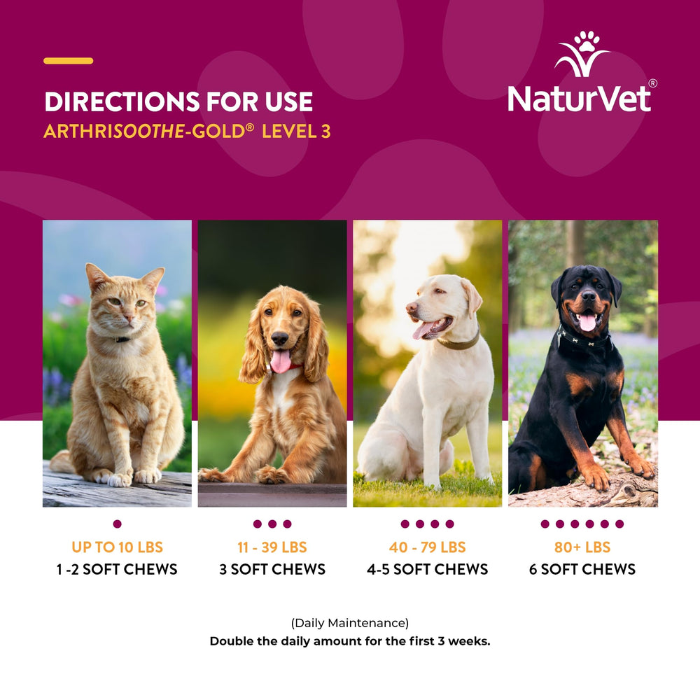 NaturVet ArthriSoothe-Gold Level 3 dog eating scene, showcasing palatable joint care.