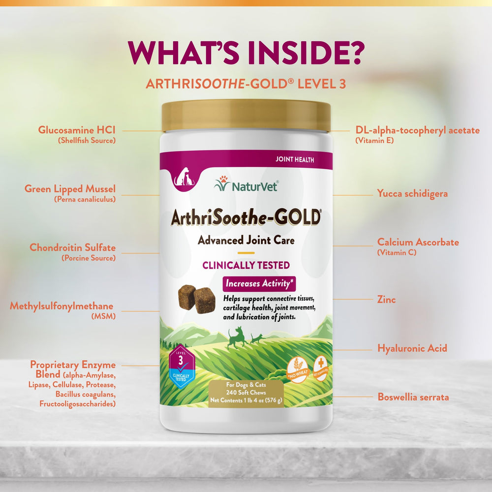 NaturVet ArthriSoothe-Gold Level 3 dog enjoys treat, depicting palatable joint care