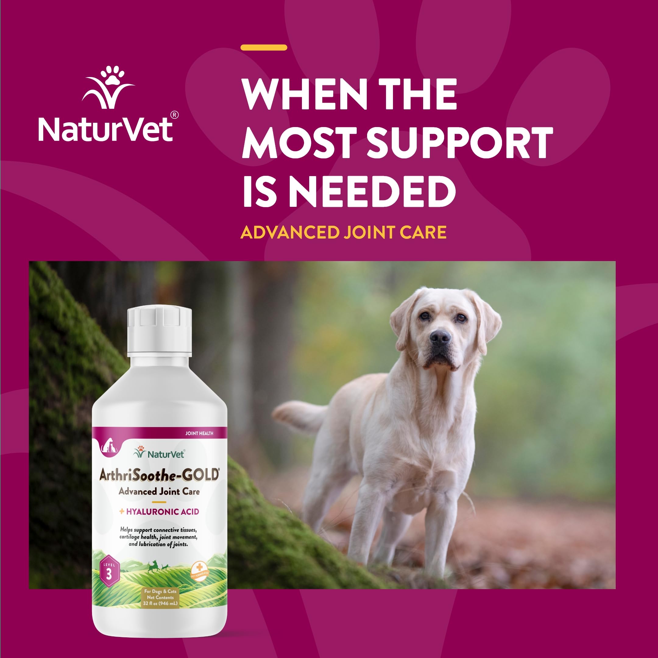 NaturVet ArthriSoothe-Gold liquid formula close-up for daily use.