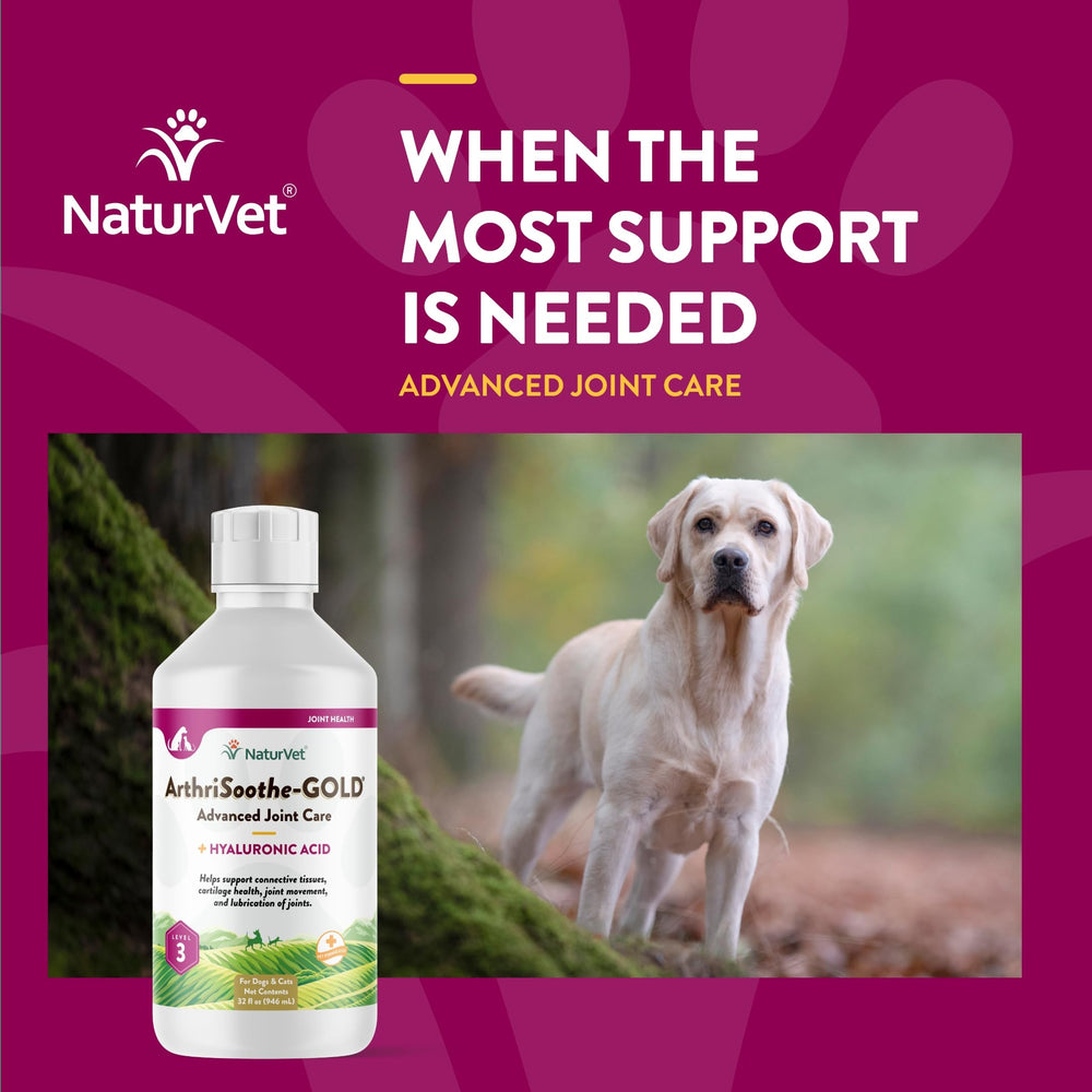 NaturVet ArthriSoothe-Gold liquid formula close-up for daily use.