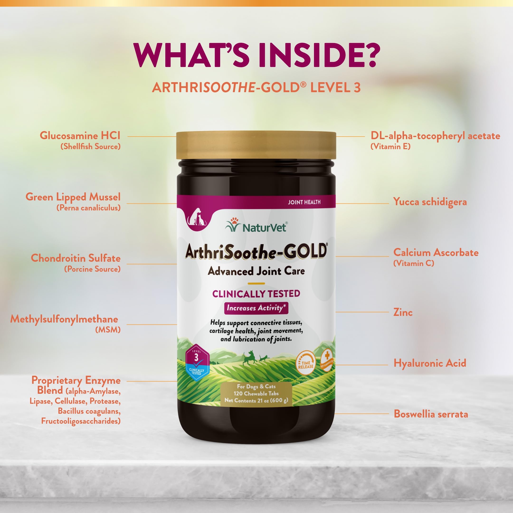 NaturVet ArthriSoothe-GOLD scooper or serving dish with a dog paw to indicate easy dosing.