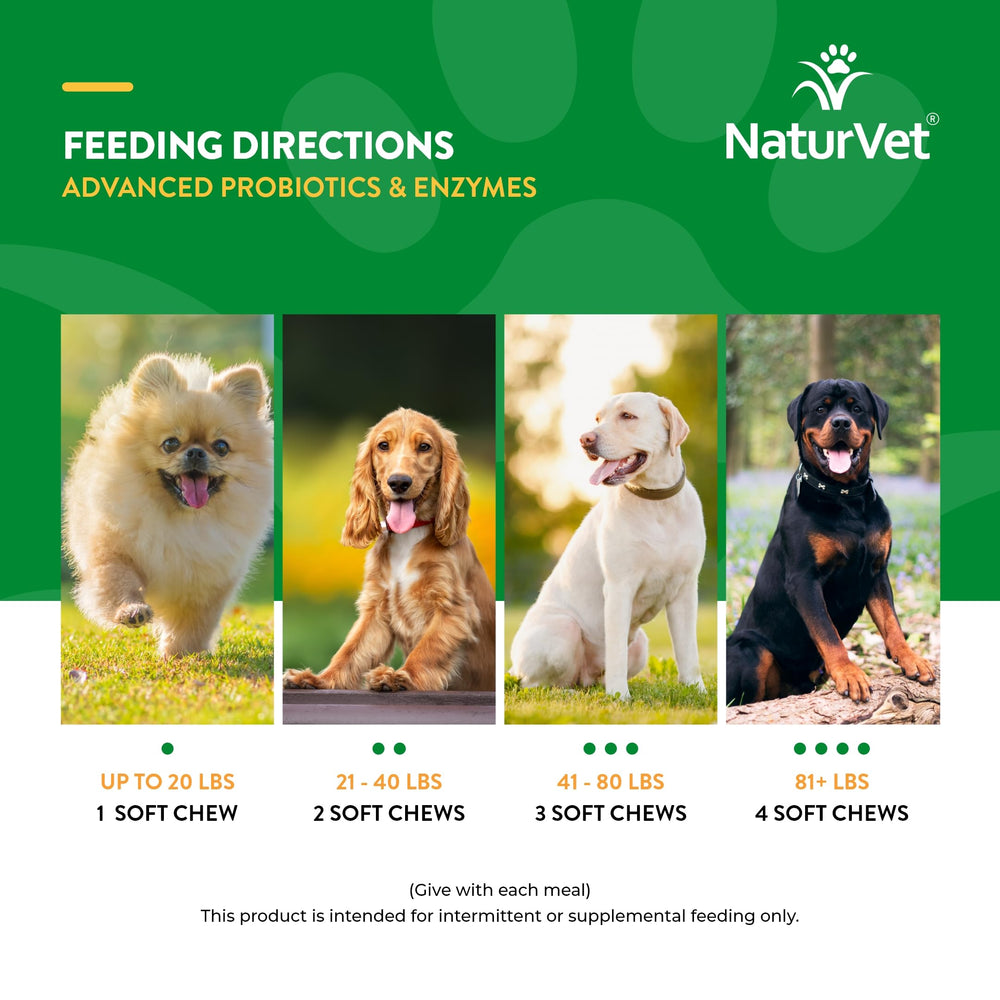 NaturVet bacon-flavor chews in bowl inviting dogs to try a tasty digestive aid.
