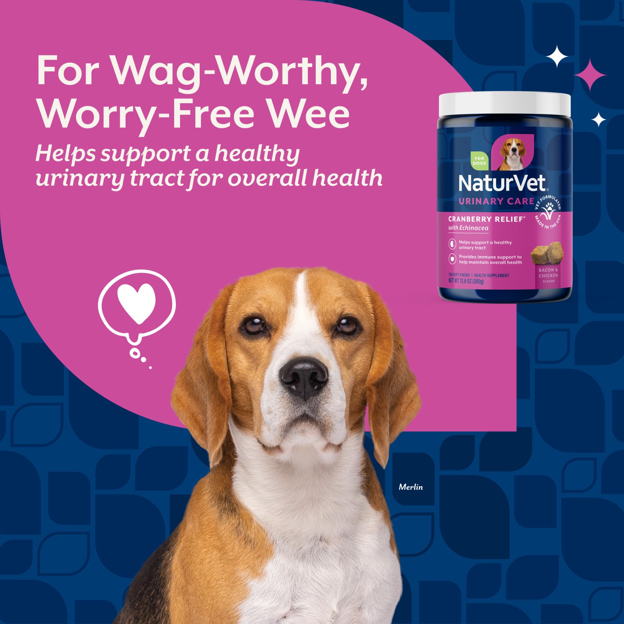 NaturVet Cranberry Relief Plus Echinacea bottle beside a dog for daily urinary and immune support