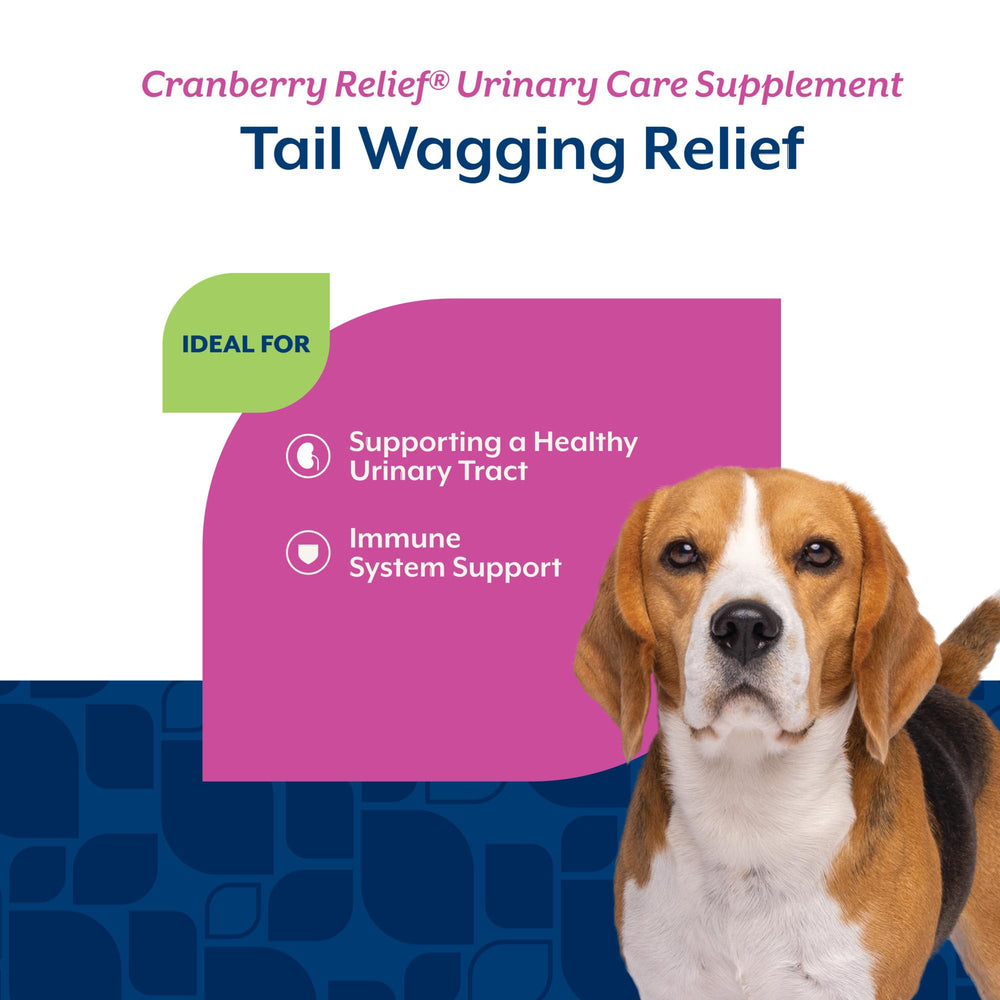 NaturVet Cranberry Relief Plus Echinacea ingredients illustration showing cranberry and echinacea for health support