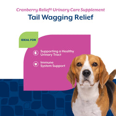 NaturVet Cranberry Relief Plus Echinacea ingredients illustration showing cranberry and echinacea for health support