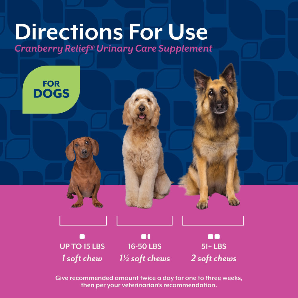 NaturVet Cranberry Relief Plus Echinacea tube graphic illustrating soft chew form