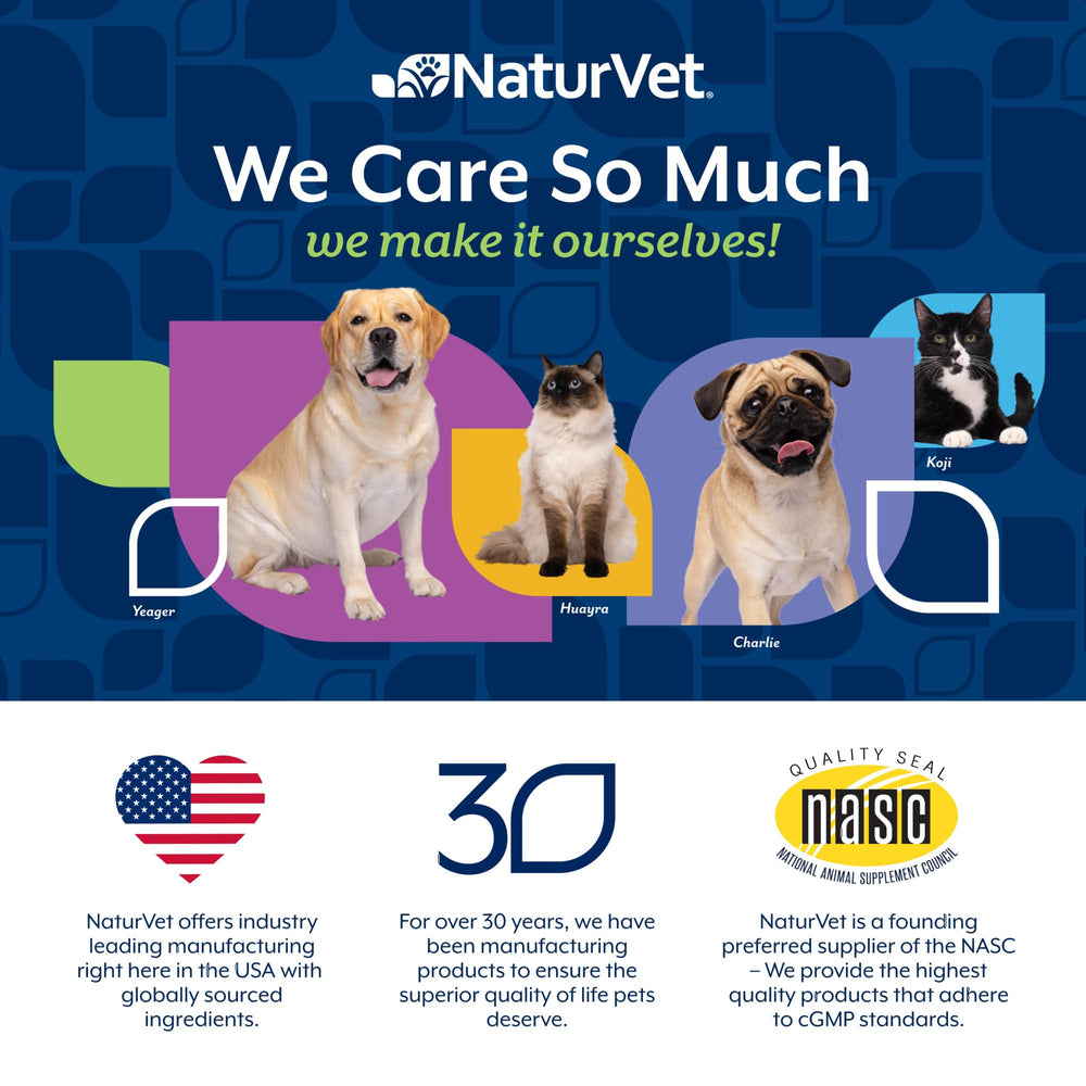 NaturVet Cranberry Relief Plus Echinacea usage scene with dog and owner planning daily routine